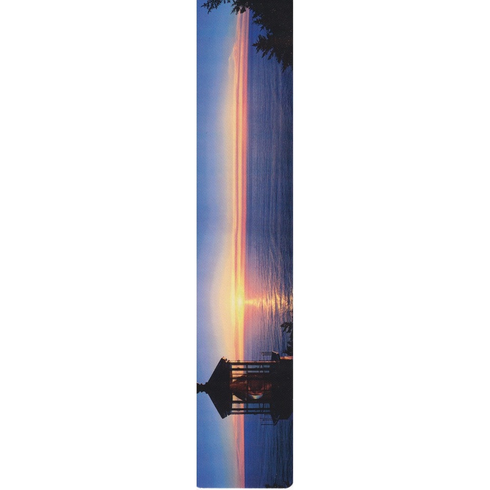 DAV Star Spangled Banner Bookmark Vintage Patriotic Americana Retro Ephemera